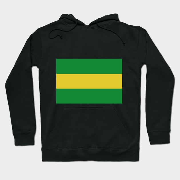 Cauca Department Hoodie by Wickedcartoons